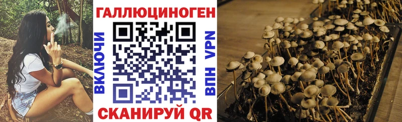 Псилоцибиновые грибы Cubensis  Энгельс 