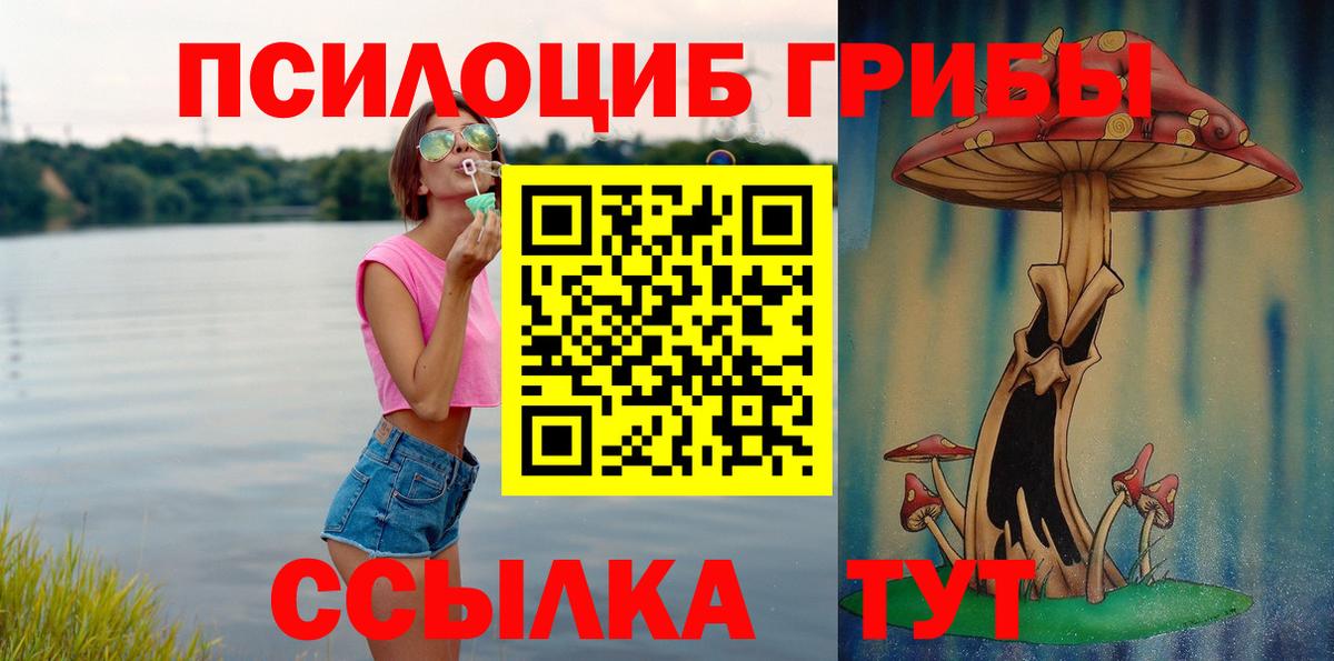 Галлюциногенные грибы прущие грибы  Вход с VPN  где продают   Энгельс 